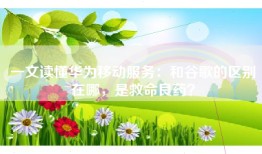 一文读懂华为移动服务：和谷歌的区别在哪，是救命良药？