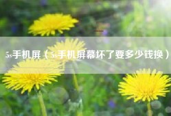 5s手机屏（5s手机屏幕坏了要多少钱换）