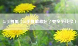 5s手机屏（5s手机屏幕坏了要多少钱换）