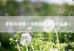 手机投屏器（手机投屏器十大品牌）
