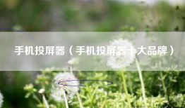 手机投屏器（手机投屏器十大品牌）