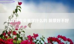 自媒体专业是学什么的 前景好不好