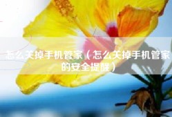 怎么关掉手机管家（怎么关掉手机管家的安全提醒）