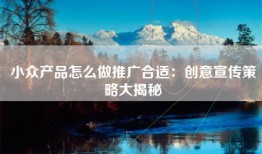 小众产品怎么做推广合适：创意宣传策略大揭秘