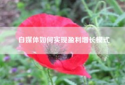 自媒体如何实现盈利增长模式