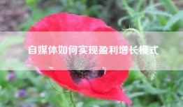 自媒体如何实现盈利增长模式