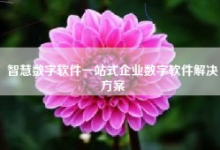 智慧数字软件一站式企业数字软件解决方案