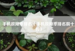 手机故障率排名（手机故障率排名前十名）