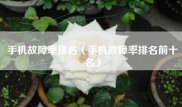 手机故障率排名（手机故障率排名前十名）