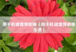 用手机键盘弹歌曲（用手机键盘弹歌曲乐谱）