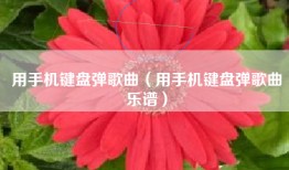 用手机键盘弹歌曲（用手机键盘弹歌曲乐谱）