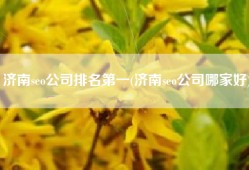 济南seo公司排名第一(济南seo公司哪家好)