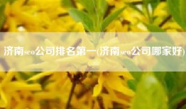 济南seo公司排名第一(济南seo公司哪家好)