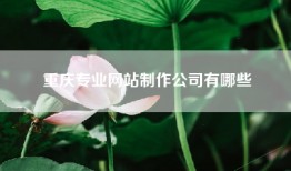 重庆专业网站制作公司有哪些