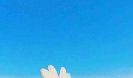 自媒体写文案是怎么赚钱的：从入门到精通赚钱技巧与写作奥秘解析