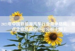 2021年中国新能源汽车行业竞争格局、重点企业经营及SWOT分析「图」