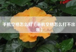 手机空格怎么打（手机空格怎么打不出来）