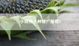 小程序十种推广策略！