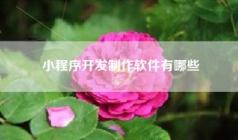 小程序开发制作软件有哪些