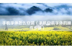 手机字体怎么安装（手机安装字体的操作步骤）