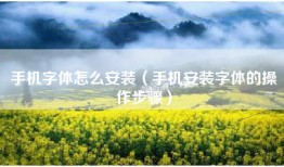手机字体怎么安装（手机安装字体的操作步骤）