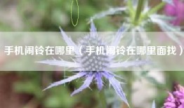 手机闹铃在哪里（手机闹铃在哪里面找）