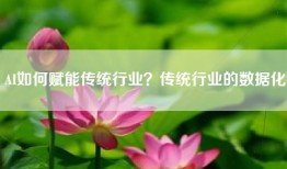 AI如何赋能传统行业？传统行业的数据化
