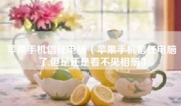 苹果手机信任电脑（苹果手机信任电脑了,但是还是看不见相册）