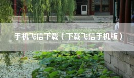 手机飞信下载（下载飞信手机版）