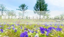 魅蓝手机多少钱（魅蓝手机多少钱一个）