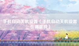 手机自动关机设置（手机自动关机设置在哪里找）
