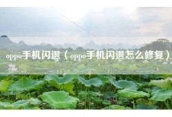 oppo手机闪退（oppo手机闪退怎么修复）