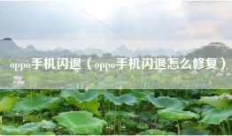 oppo手机闪退（oppo手机闪退怎么修复）