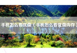 手机怎么看优盘（手机怎么看优盘内存）