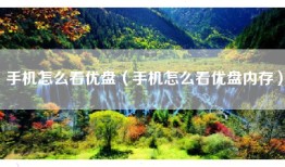 手机怎么看优盘（手机怎么看优盘内存）