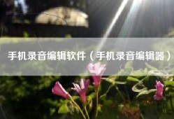 手机录音编辑软件（手机录音编辑器）