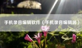 手机录音编辑软件（手机录音编辑器）