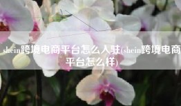shein跨境电商平台怎么入驻(shein跨境电商平台怎么样)