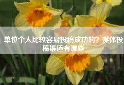单位个人比较容易投稿成功的？媒体投稿渠道有哪些