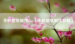 手机壁纸制作app（手机壁纸制作教程）
