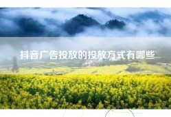 抖音广告投放的投放方式有哪些