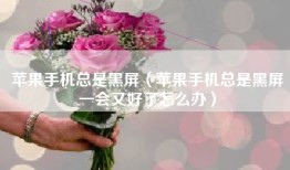 苹果手机总是黑屏（苹果手机总是黑屏一会又好了怎么办）