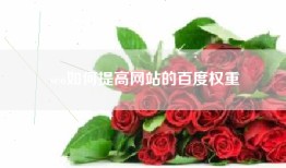 seo如何提高网站的百度权重