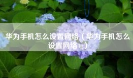 华为手机怎么设置网络（华为手机怎么设置网络4g）