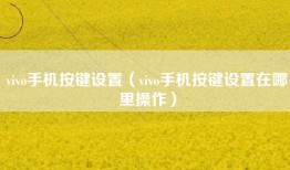 vivo手机按键设置（vivo手机按键设置在哪里操作）