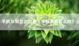 手机灰屏怎么回事（手机灰屏怎么办？）