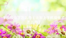 手机没电了怎么办（火车上手机没电了怎么办）