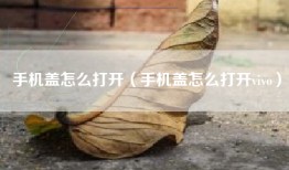 手机盖怎么打开（手机盖怎么打开vivo）