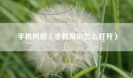 手机风扇（手机风扇怎么打开）