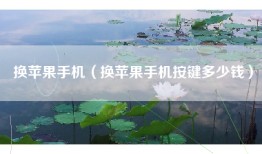 换苹果手机（换苹果手机按键多少钱）